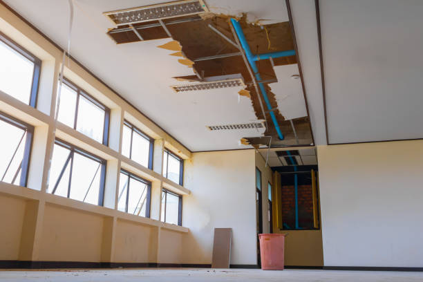 Best Residential water damage restoration  in Johnsonburg, PA