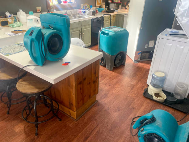 Best Water damage contractors near me  in Johnsonburg, PA