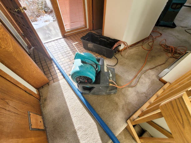 Best Ceiling water damage repair  in Johnsonburg, PA