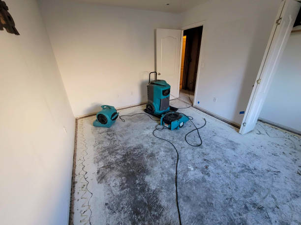Best Fire Damage Restoration  in Johnsonburg, PA