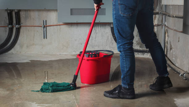 Best Flood restoration services  in Johnsonburg, PA