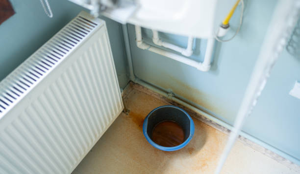 Best Water damage cleanup near me  in Johnsonburg, PA