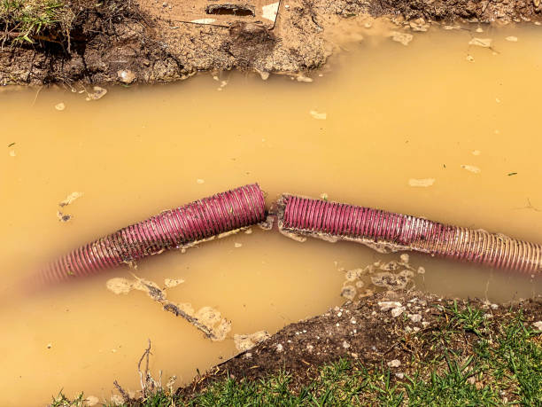 Best Emergency water damage restoration  in Johnsonburg, PA