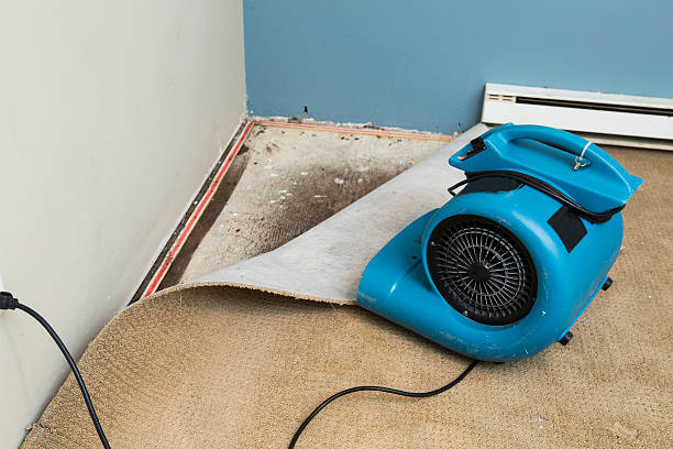 Best Water damage restoration near me  in Johnsonburg, PA